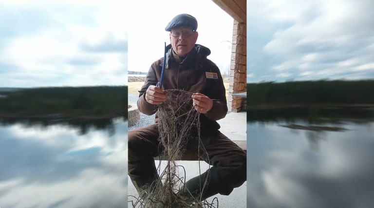 Haamuverkkovideo